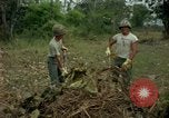 Standbild clearing Brush Ankhe Süd Vietnam, 1965, aus Sekunde 21 historischem Filmmaterial Videoclip 65675030389