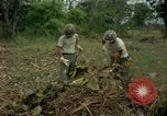 Standbild clearing Brush Ankhe Süd Vietnam, 1965, aus Sekunde 22 historischem Filmmaterial Videoclip 65675030389
