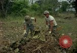 Standbild clearing Brush Ankhe Süd Vietnam, 1965, aus Sekunde 23 historischem Filmmaterial Videoclip 65675030389