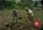 Standbild clearing Brush Ankhe Süd Vietnam, 1965, aus Sekunde 24 historischem Filmmaterial Videoclip 65675030389