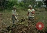 Standbild clearing Brush Ankhe Süd Vietnam, 1965, aus Sekunde 25 historischem Filmmaterial Videoclip 65675030389