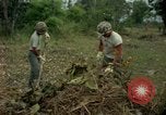 Standbild clearing Brush Ankhe Süd Vietnam, 1965, aus Sekunde 26 historischem Filmmaterial Videoclip 65675030389