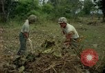 Standbild clearing Brush Ankhe Süd Vietnam, 1965, aus Sekunde 27 historischem Filmmaterial Videoclip 65675030389