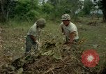 Standbild clearing Brush Ankhe Süd Vietnam, 1965, aus Sekunde 28 historischem Filmmaterial Videoclip 65675030389
