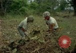 Standbild clearing Brush Ankhe Süd Vietnam, 1965, aus Sekunde 29 historischem Filmmaterial Videoclip 65675030389