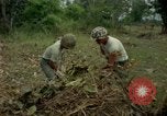 Standbild clearing Brush Ankhe Süd Vietnam, 1965, aus Sekunde 30 historischem Filmmaterial Videoclip 65675030389
