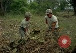 Standbild clearing Brush Ankhe Süd Vietnam, 1965, aus Sekunde 31 historischem Filmmaterial Videoclip 65675030389