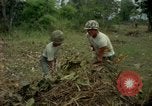 Standbild clearing Brush Ankhe Süd Vietnam, 1965, aus Sekunde 32 historischem Filmmaterial Videoclip 65675030389
