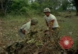 Standbild clearing Brush Ankhe Süd Vietnam, 1965, aus Sekunde 33 historischem Filmmaterial Videoclip 65675030389
