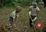 Standbild clearing Brush Ankhe Süd Vietnam, 1965, aus Sekunde 35 historischem Filmmaterial Videoclip 65675030389
