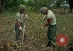 Standbild clearing Brush Ankhe Süd Vietnam, 1965, aus Sekunde 36 historischem Filmmaterial Videoclip 65675030389