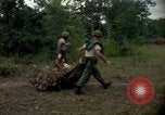 Standbild clearing Brush Ankhe Süd Vietnam, 1965, aus Sekunde 58 historischem Filmmaterial Videoclip 65675030389