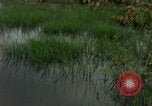 Standbild OH-13 Hubschrauber Ankhe Süd Vietnam, 1965, aus Sekunde 11 historischem Filmmaterial Videoclip 65675030391
