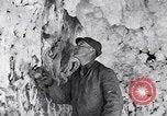 Standbild Eiskristalle Kennecott Alaska USA, 1927, aus Sekunde 29 historischem Filmmaterial Videoclip 65675030413