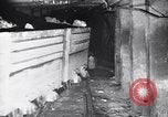 Standbild geladen ore Cars Ray Arizona USA, 1927, aus Sekunde 27 historischem Filmmaterial Videoclip 65675030420