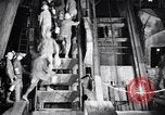 Standbild man-Auto Northern Michigan United States USA, 1927, aus Sekunde 48 historischem Filmmaterial Videoclip 65675030423
