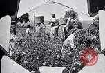 Standbild Baumwolle United States USA, 1928, aus Sekunde 16 historischem Filmmaterial Videoclip 65675030435