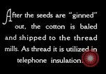 Standbild Baumwolle United States USA, 1928, aus Sekunde 44 historischem Filmmaterial Videoclip 65675030435