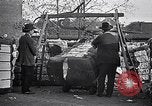 Standbild Baumwolle United States USA, 1928, aus Sekunde 56 historischem Filmmaterial Videoclip 65675030435