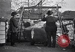 Standbild Baumwolle United States USA, 1928, aus Sekunde 57 historischem Filmmaterial Videoclip 65675030435