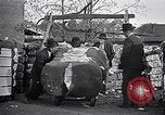 Standbild Baumwolle United States USA, 1928, aus Sekunde 60 historischem Filmmaterial Videoclip 65675030435