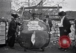 Standbild Baumwolle United States USA, 1928, aus Sekunde 61 historischem Filmmaterial Videoclip 65675030435