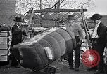 Standbild Baumwolle United States USA, 1928, aus Sekunde 62 historischem Filmmaterial Videoclip 65675030435