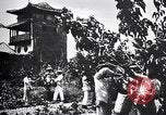 Standbild Seidenraupen China, 1928, aus Sekunde 23 historischem Filmmaterial Videoclip 65675030436