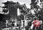 Standbild Seidenraupen China, 1928, aus Sekunde 24 historischem Filmmaterial Videoclip 65675030436