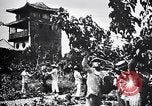 Standbild Seidenraupen China, 1928, aus Sekunde 25 historischem Filmmaterial Videoclip 65675030436