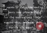 Standbild Seidenraupen China, 1928, aus Sekunde 26 historischem Filmmaterial Videoclip 65675030436