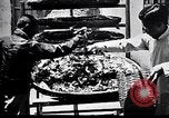 Standbild Seidenraupen China, 1928, aus Sekunde 41 historischem Filmmaterial Videoclip 65675030436