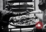 Standbild Seidenraupen China, 1928, aus Sekunde 44 historischem Filmmaterial Videoclip 65675030436