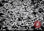 Standbild Seidenraupen China, 1928, aus Sekunde 46 historischem Filmmaterial Videoclip 65675030436