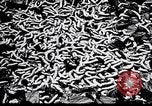 Standbild Seidenraupen China, 1928, aus Sekunde 48 historischem Filmmaterial Videoclip 65675030436