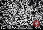 Standbild Seidenraupen China, 1928, aus Sekunde 49 historischem Filmmaterial Videoclip 65675030436