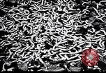 Standbild Seidenraupen China, 1928, aus Sekunde 50 historischem Filmmaterial Videoclip 65675030436