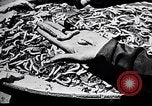 Standbild Seidenraupen China, 1928, aus Sekunde 52 historischem Filmmaterial Videoclip 65675030436