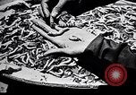 Standbild Seidenraupen China, 1928, aus Sekunde 53 historischem Filmmaterial Videoclip 65675030436