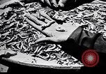 Standbild Seidenraupen China, 1928, aus Sekunde 54 historischem Filmmaterial Videoclip 65675030436
