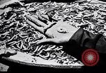 Standbild Seidenraupen China, 1928, aus Sekunde 55 historischem Filmmaterial Videoclip 65675030436