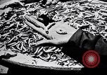 Standbild Seidenraupen China, 1928, aus Sekunde 56 historischem Filmmaterial Videoclip 65675030436