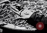 Standbild Seidenraupen China, 1928, aus Sekunde 57 historischem Filmmaterial Videoclip 65675030436