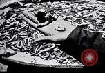 Standbild Seidenraupen China, 1928, aus Sekunde 58 historischem Filmmaterial Videoclip 65675030436