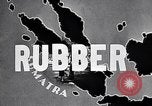 Image of rubber plantation Sumatra Indonesia, 1928, second 8 stock footage video 65675030440