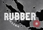 Image of rubber plantation Sumatra Indonesia, 1928, second 9 stock footage video 65675030440