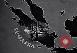 Image of rubber plantation Sumatra Indonesia, 1928, second 10 stock footage video 65675030440