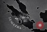 Image of rubber plantation Sumatra Indonesia, 1928, second 12 stock footage video 65675030440