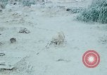 Image of bulldozer levels ground at Fire Base Myron Cambodia, 1970, second 16 stock footage video 65675030461
