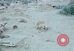 Image of bulldozer levels ground at Fire Base Myron Cambodia, 1970, second 17 stock footage video 65675030461